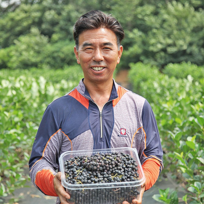 아로니아 꼭지제거 2025년 아로니아생과 냉동과 블랙쵸크베리, 1개, 2.5kg(특품)