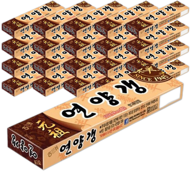 팥양갱 해태 연양갱, 55g, 20개