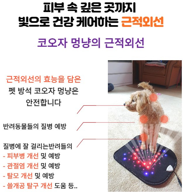 근적외선 팻 방석 (코오자 멍량) 피부병 예방 탈모.탈구 예방 건강한 팻 관리, 1개, 미끄럼방지