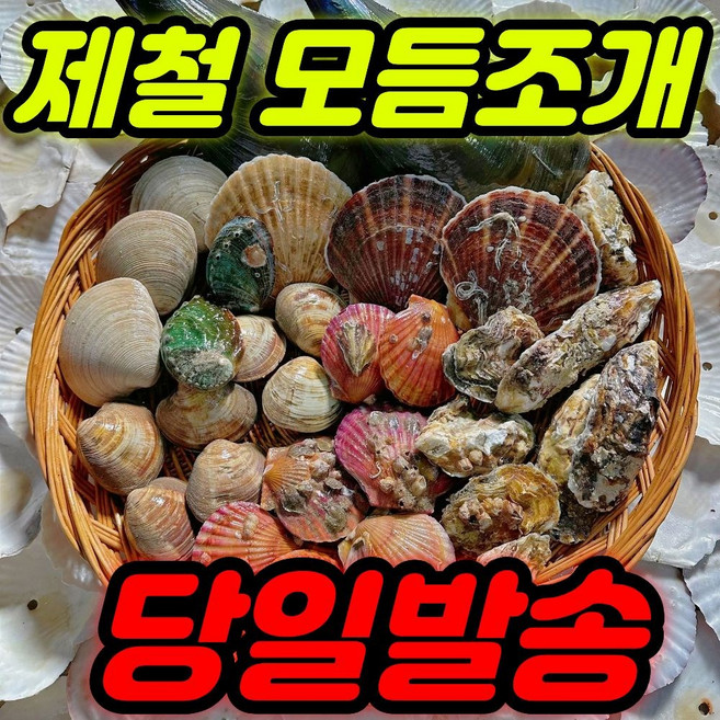 캠핑 모듬조개 2kg 조개구이 세트 해감완료 당일발송(초장+라면 사은품증정), 1세트, (주문폭주)실속형 모듬조개2kg