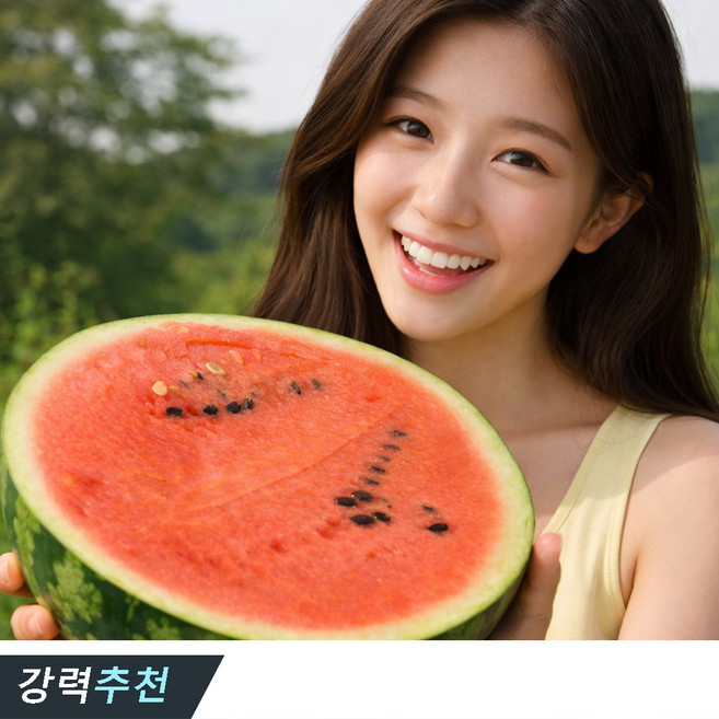 하우스 수박 고당도 꿀수박, 1개, 4kg