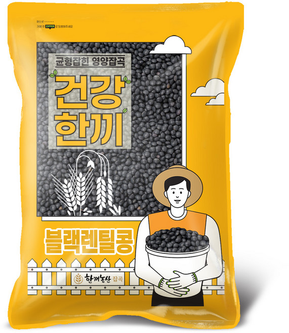 한끼농산 블랙렌틸콩 슈퍼푸드 렌즈콩, 2kg, 1개