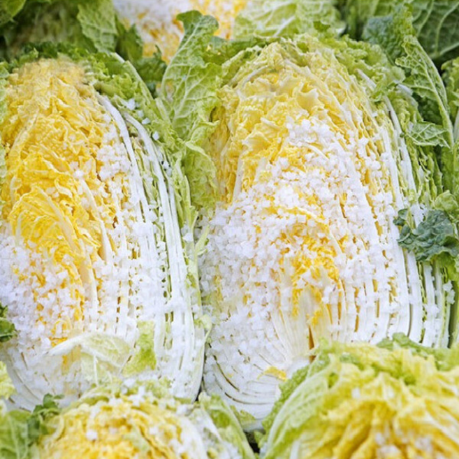 강원도 청정지역 인제 절임배추, 도착일 배송메모에 입력, 1박스, 20kg