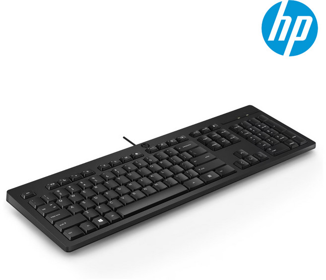 HP 125 Wired Keyboard (266C9AA) 유선키보드