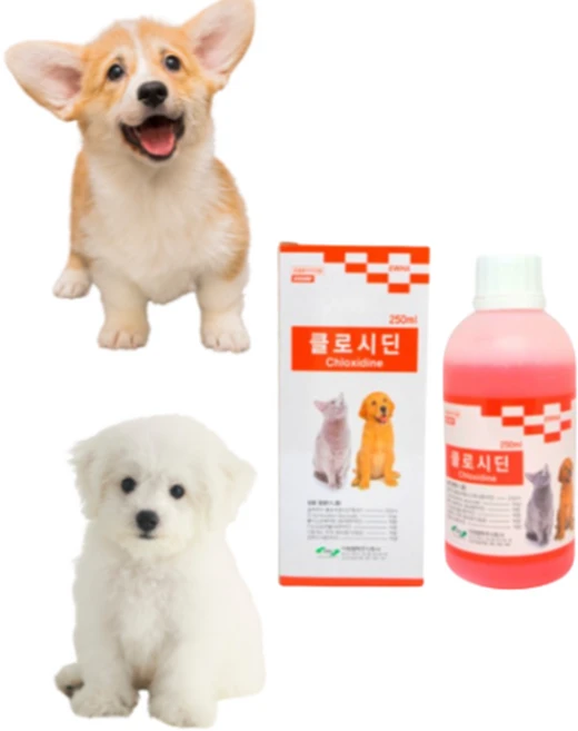 클로르헥시딘 강아지 고양이 반려동물 펫 소독약, 1개 - 쿠팡