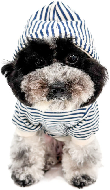 강아지옷 후드티 스트라이프 티셔츠 단가라후드티 데일리룩 실내복 외출복 XS-2XL, 레드, 1개