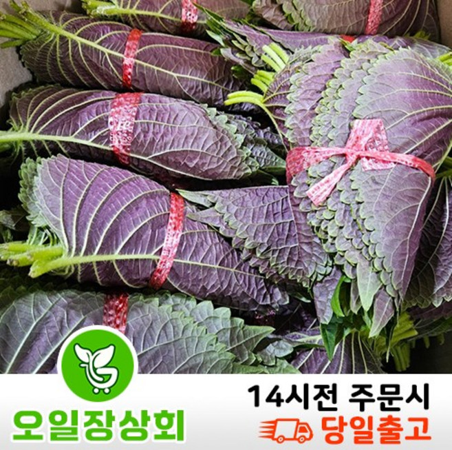 오일장상회 국내산 깻잎 1.5kg~2kg내외 3kg~4kg내외, 1.8kg, 1개
