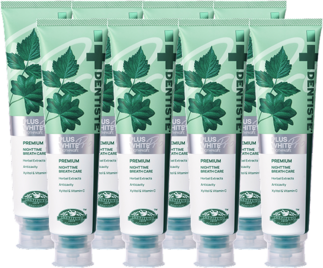 덴티스테 플러스화이트 프로, 8개, 200g