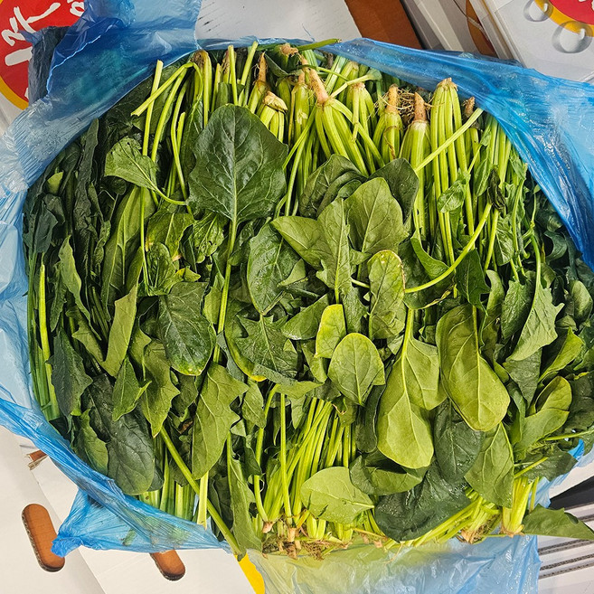 [신일농산] 국내산 하우스 시금치 4kg, 1박스