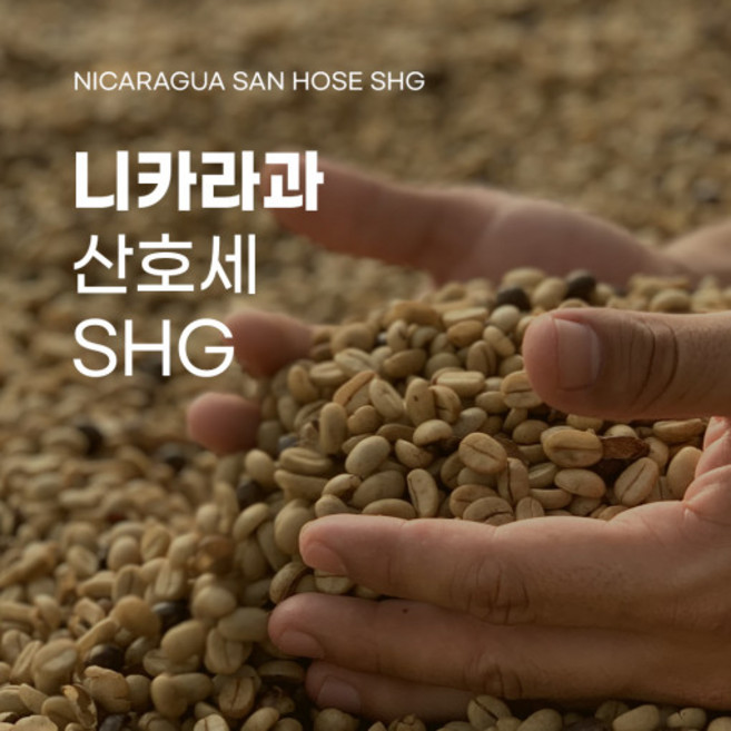 해브빈스 니카라과 산호세 SHG 200g 당일로스팅 스페셜티 맛있는 신선한 원두커피, 에스프레소(아주곱게), 1개