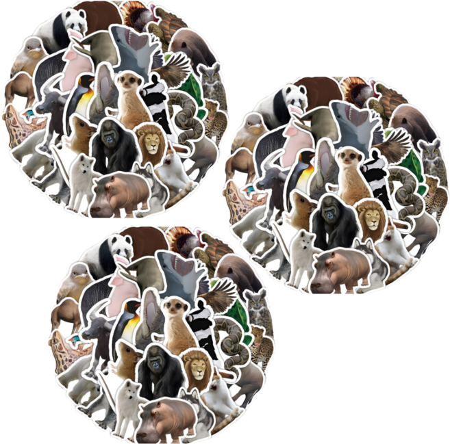 라온스티커 53매입 실제동물 방수스티커 세트, 3세트, 혼합(S21128)53P