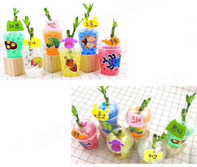 장수풍뎅이 한살이스티커 컬러소일 개운죽 키우기 키트 6인 그리기 기념 복지센터 교육 DIY, 1개