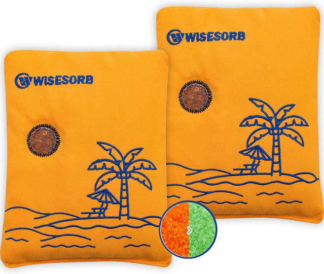 보관용 Wisesorb 100gx2pcs 충전식 제습제 팩 색상 표시 실리카겔 패킷 수분 흡수제 가시광선 창문 재사용 가능한 3D 필라멘트 전자 카메라용 제습기, 500 Gram, 2 PACK
