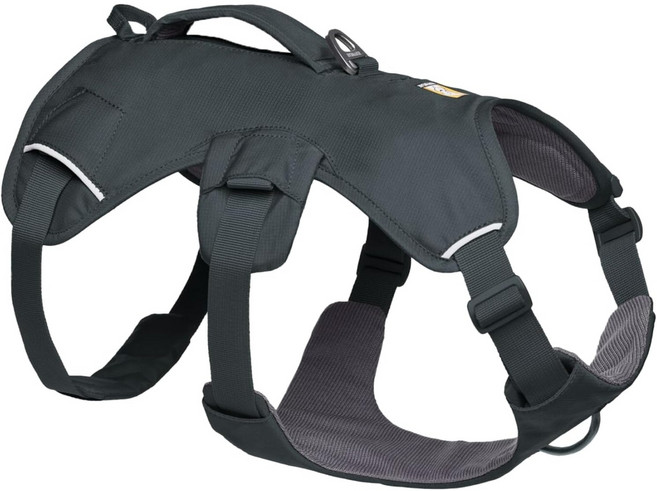 러프웨어 웹마스터 하네스 M 리버록 그린, 바사르트 회색