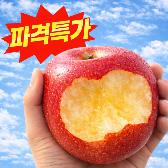 [파격초특가] 산지직송 재구매율1위 초고당도 부사사과, 1박스, 5kg(중과)