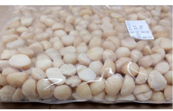 [한양상사] 호주산 생 마카다미아 반태 4호 A급(상품) 무염 1Kg/500g, 1Kg, 1개
