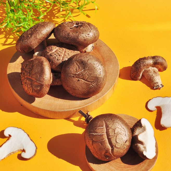 [장흥]생표고버섯, 가정용특품 1kg, 1개, 장흥 생표고버섯 1kg 가정용특품