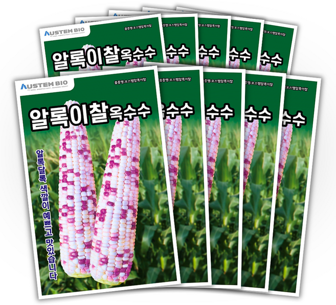주주씨앗 알록이찰옥수수 씨앗 150립 얼룩찰옥수수 씨앗 다수확 통큰 옥수수, 10개