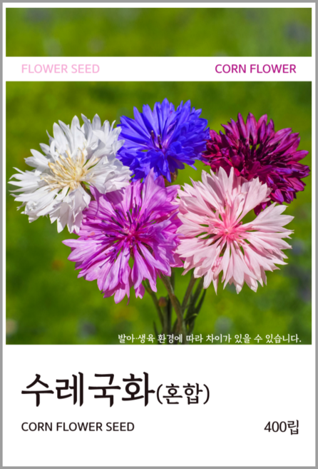 수레국화(혼합) 씨앗 400립, 1개