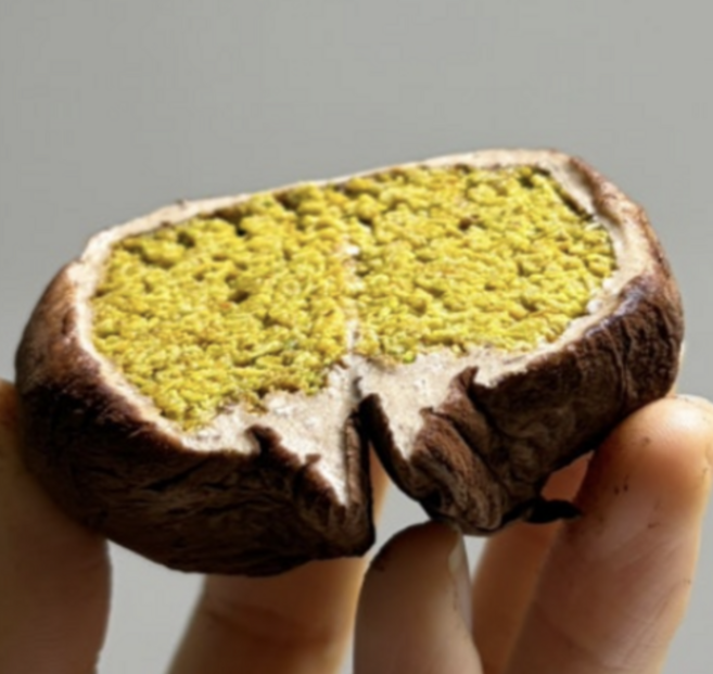 두바이 쫀득쿠키 찹쌀떡 쫀득볼 모찌 쿠키 선물세트, 4개, 42g