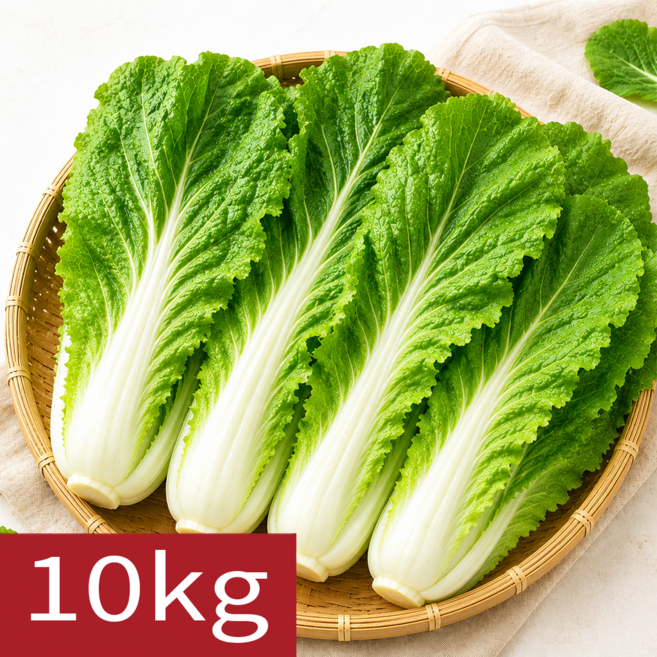 [여수시골농장] 산지직송 국내산 얼갈이배추 특품, 1개, 10kg