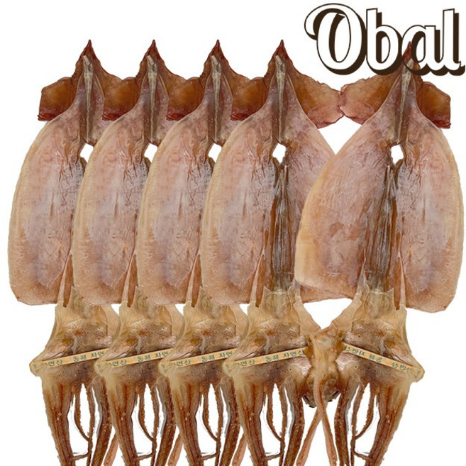 오발 국내산 마른오징어 5마리 200g, 1개