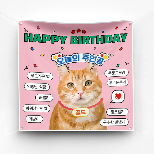 솔메이드 재밌고 귀엽고 힙한 강아지 고양이 반려동물 생일 현수막 Ver.매력뿅뿅, 02-핑크, 140X140, 기본(면고리+벨크로)