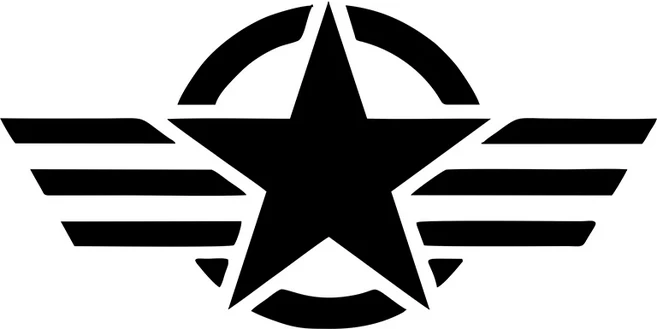 자동차 스티커 미국 육군 있은 오토바이 BMW VW Audi Gti Skoda 용 외부 비닐 데칼, 01 G171A1 black, 01 20x10cm