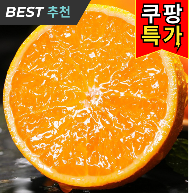 [초특가1등] 천상의맛 제주직송 가성비 한라봉, 1박스, 10kg