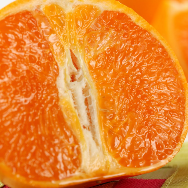 [가정용초특가] 제주직송 꿀브릭스 상큼달콤 천혜향, 1개, 10kg