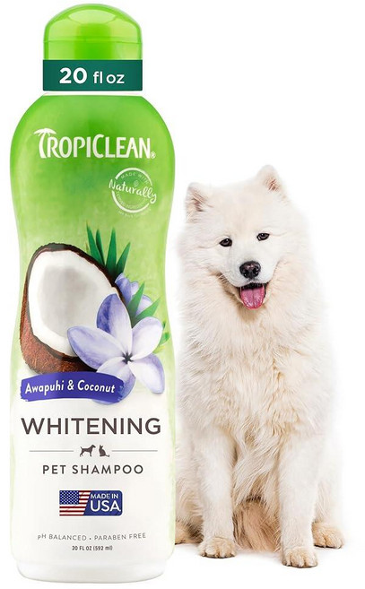 [5] TropiClean Awapuhi & 코코넛 반려동물용 화이트닝 샴푸 591.5ml(20온스) - 미국산 - 모든 털을 하고 밝게 합니다, Awapuhi 코코넛 화이트닝 샴푸