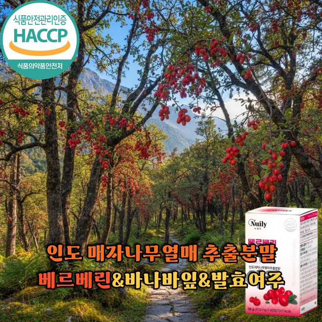 매자나무열매 여주추출물 강황분말 베르베린추천, 1박스, 60정