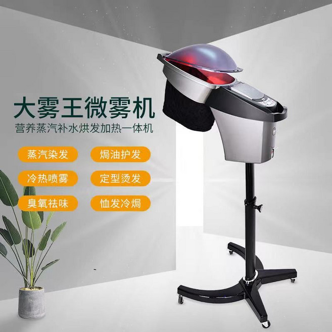 헤어스팀기 미용실 스팀케어 클리닉 모발 헤어캡 두피케어 분사기 페이스스티머 미스트기 가정용, B형 블랙