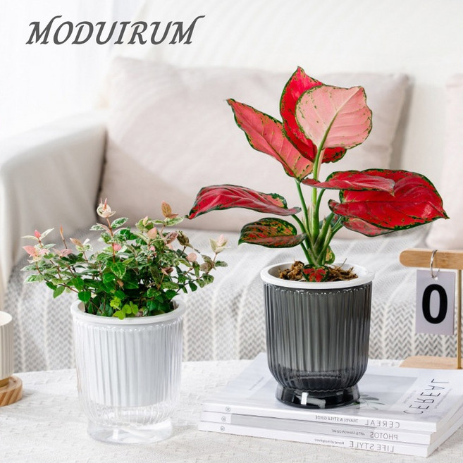 모두이룸 저면관수화분 모던스타일 자동급수, 1개, 곡선형블랙2개