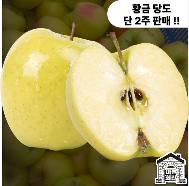 [2주특가] 황금당도 아삭한 명품 시나노골드 사과, 1박스, 5kg