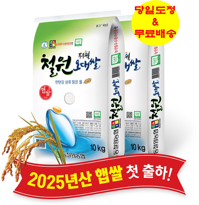 동철원농협 철원오대쌀 20KG(10KG+10KG) [25년 햅쌀. 100% 계약재배. 단일품종. GAP인증. 당일도정. 무료배송]