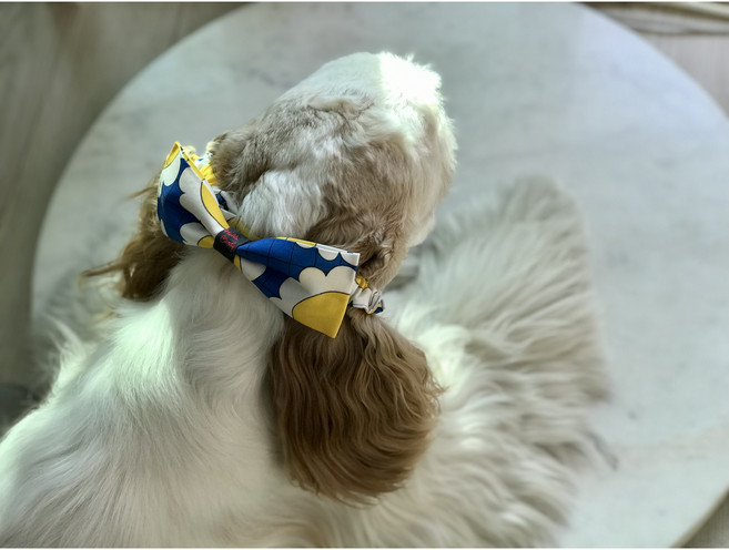 이어슈슈 강아지이어슈슈 강아지귀 (통풍용)해피스마일 이어슈슈 강아지이어슈슈 강아지스누드 코카스파니엘 강아지귀통풍 오여름이네, M(5~15kg), 1개