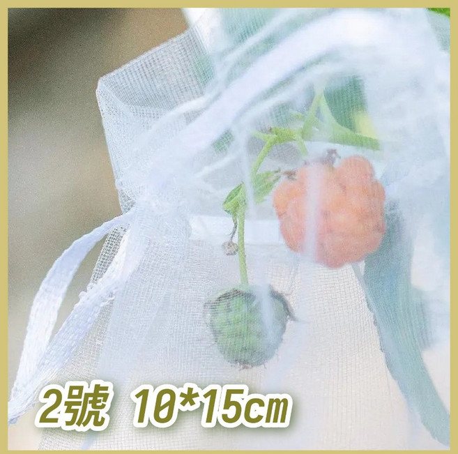 水果套袋 防蟲防鳥網袋 紗網束口袋 園藝果實保護網 10x15公分, 1個, 2號  10*15公分