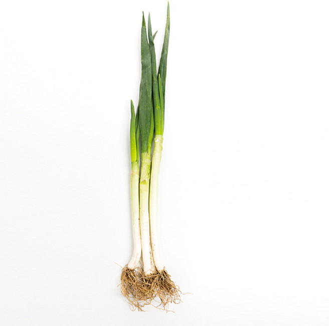 야채왕 대파 1단, 1개