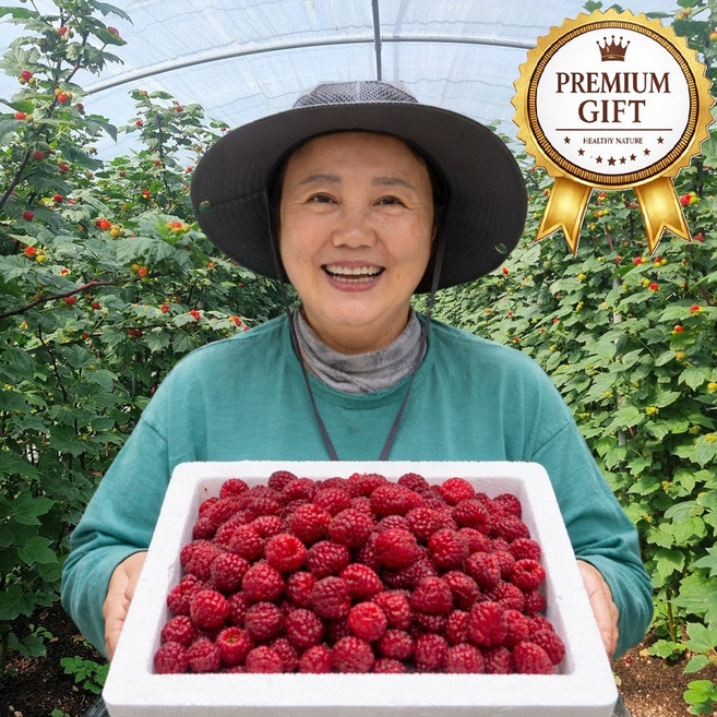 [상위1%] 2026년 첫 수확 프리미엄 김해 햇 생과 산딸기, 1개, 250g생과산딸기