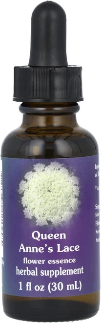 몸관리하세요 겨울입니다 Flower Essence Services 앤 여왕의레이스 플라워 에센스 30ml(1fl oz) 특별관리진행, FlowerEssenceServices앤여왕의레이스플라 - 쿠팡