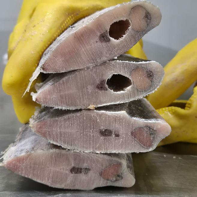 정만농수산 입안에 가득차는 4지급 특 토막 대물갈치, 3개, 500