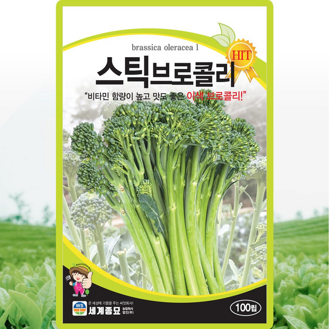 세계종묘 스틱브로콜리 씨앗 100립 이색 브로콜리씨 종자, 1개