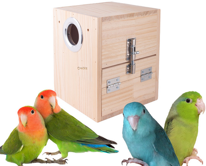 모란 앵무새 외부 둥지 알통 나무집 좌 우형 유리 사자나미, 우측문, 1개