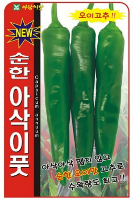 순한 아삭이 풋고추 씨앗 맵지않은 순한 오이고추씨 50립, 1개