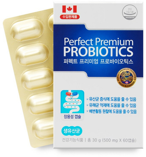 캐나다 모유 L람노서스 GG 유산균 프로바이오틱스 500억 투입 100억 보장 신바이오틱스, 60회분, 1박스
