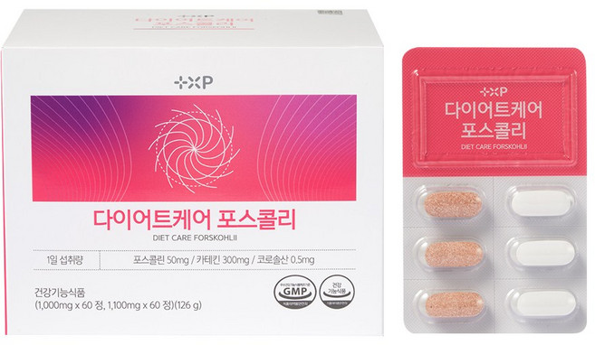 부스트드럭스토어 다이어트 케어 포스콜리 체지방 감소 약국 혈당 당뇨 콜레스테롤 낮추는 법 카테킨 녹차 추출물 보조제, 2개, 120정
