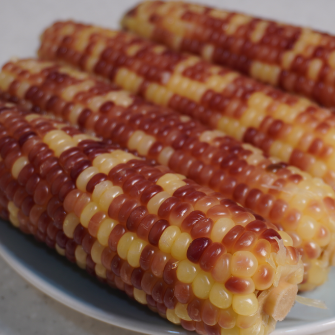 쫀득한 냉동 홍찰옥수수 10개 (특), 특