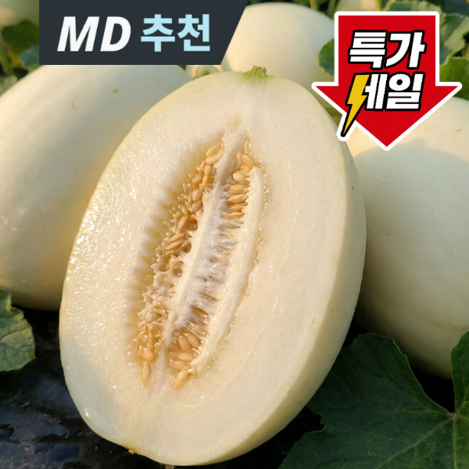 [산지특가] 고당도 프리미엄과일 달콤아삭 설향메론, 1박스, 5kg