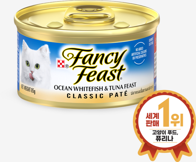 팬시피스트 연어 주식캔, 참치, 85g, 1개